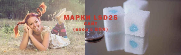 мяу мяу мука Аркадак