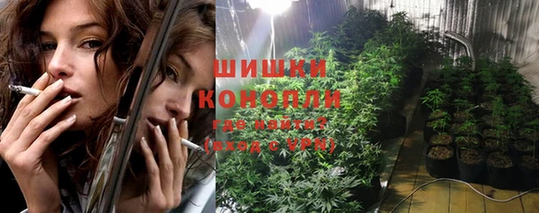 ГАЛЛЮЦИНОГЕННЫЕ ГРИБЫ Балахна