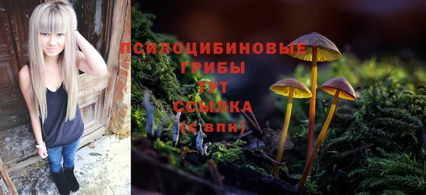 мяу мяу мука Аркадак